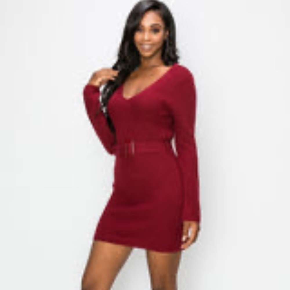 NWT Sweater Dress